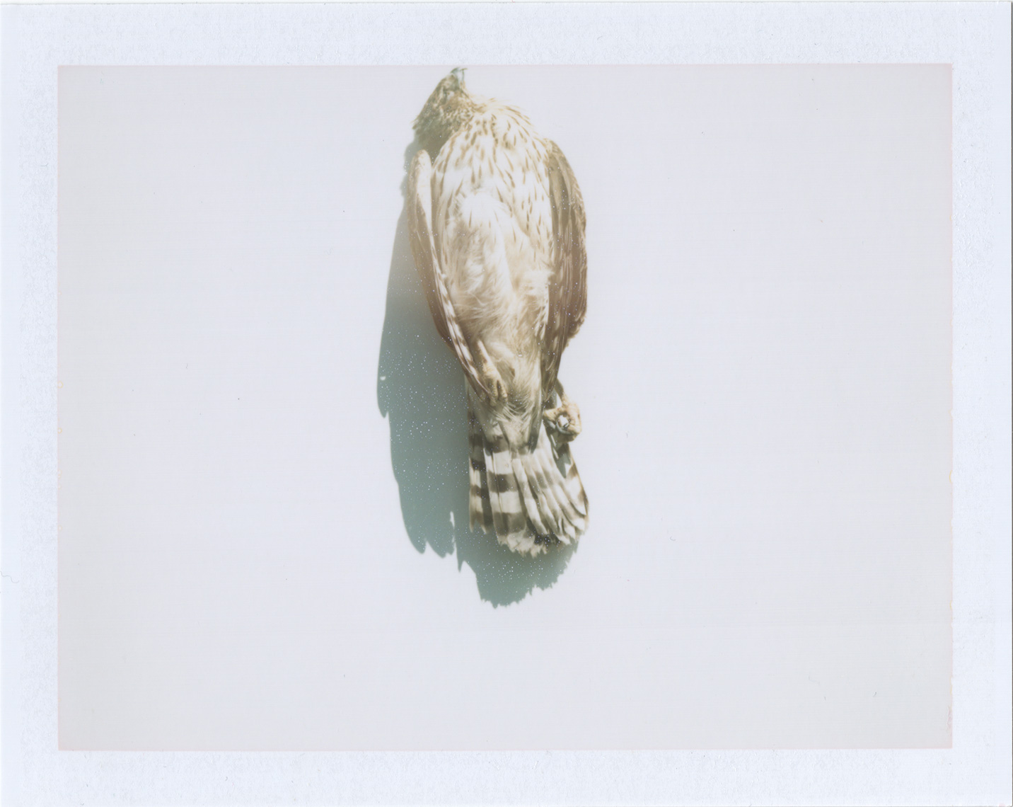02_20_16_01