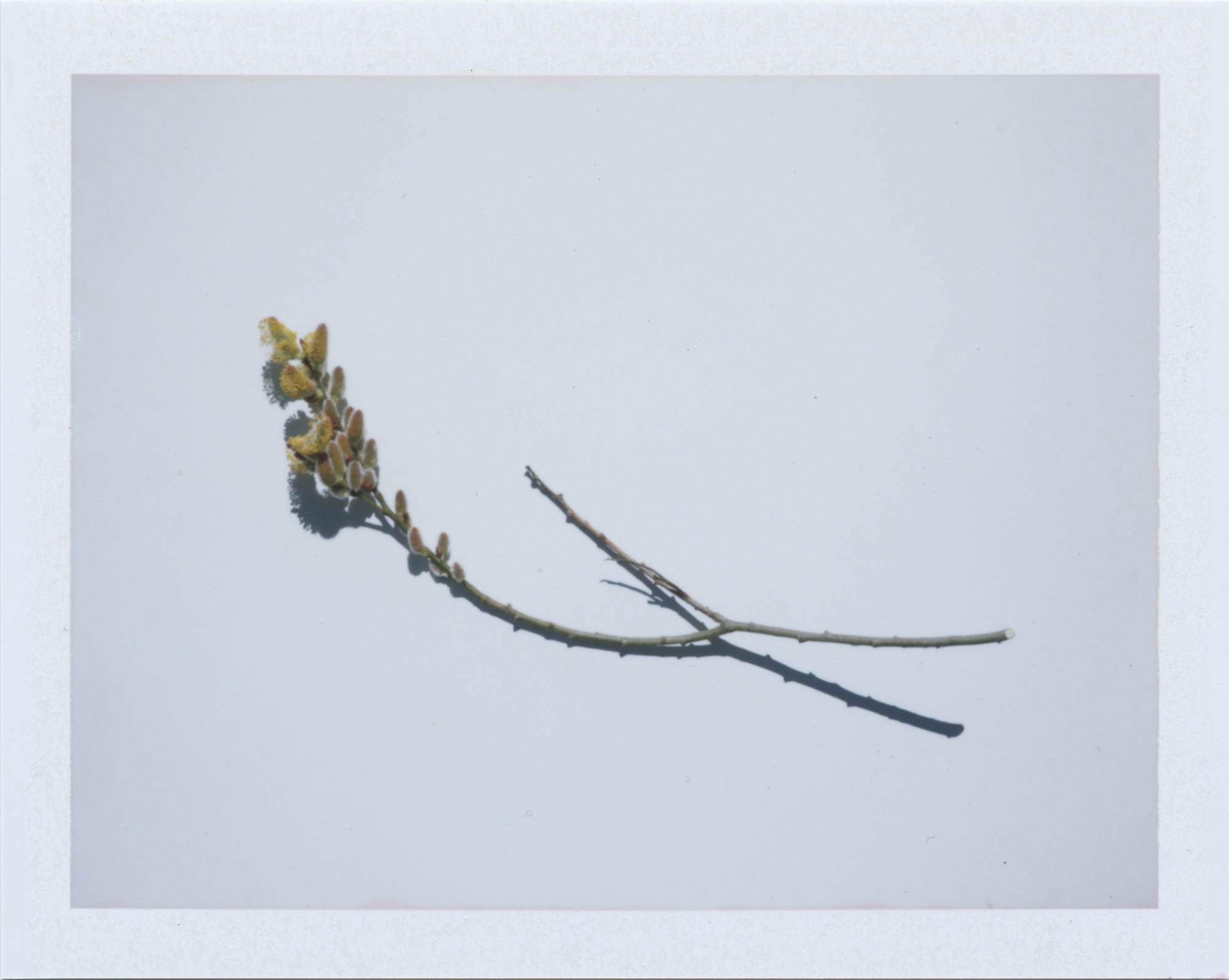 03_24_2020_03