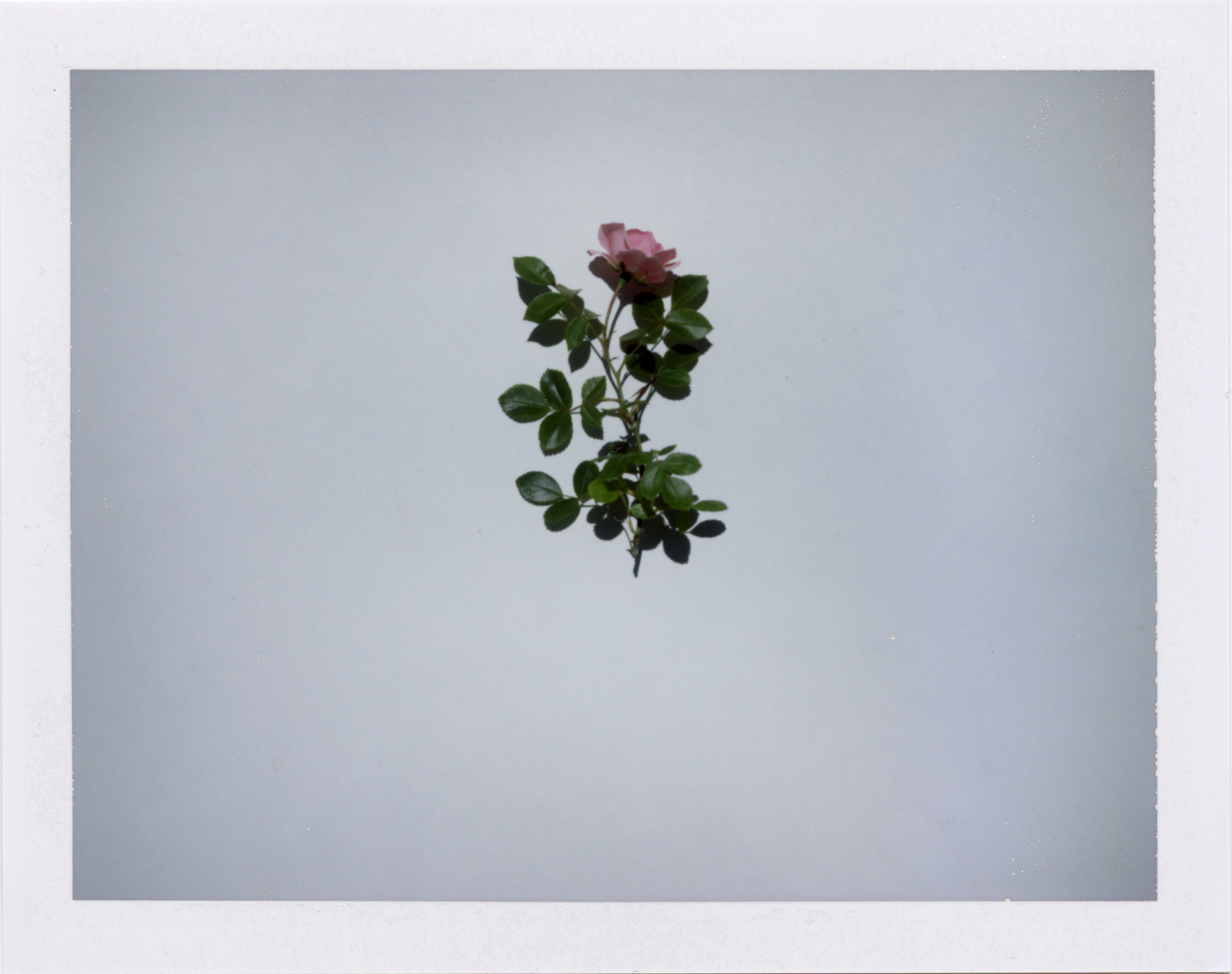 06_06_2022_00