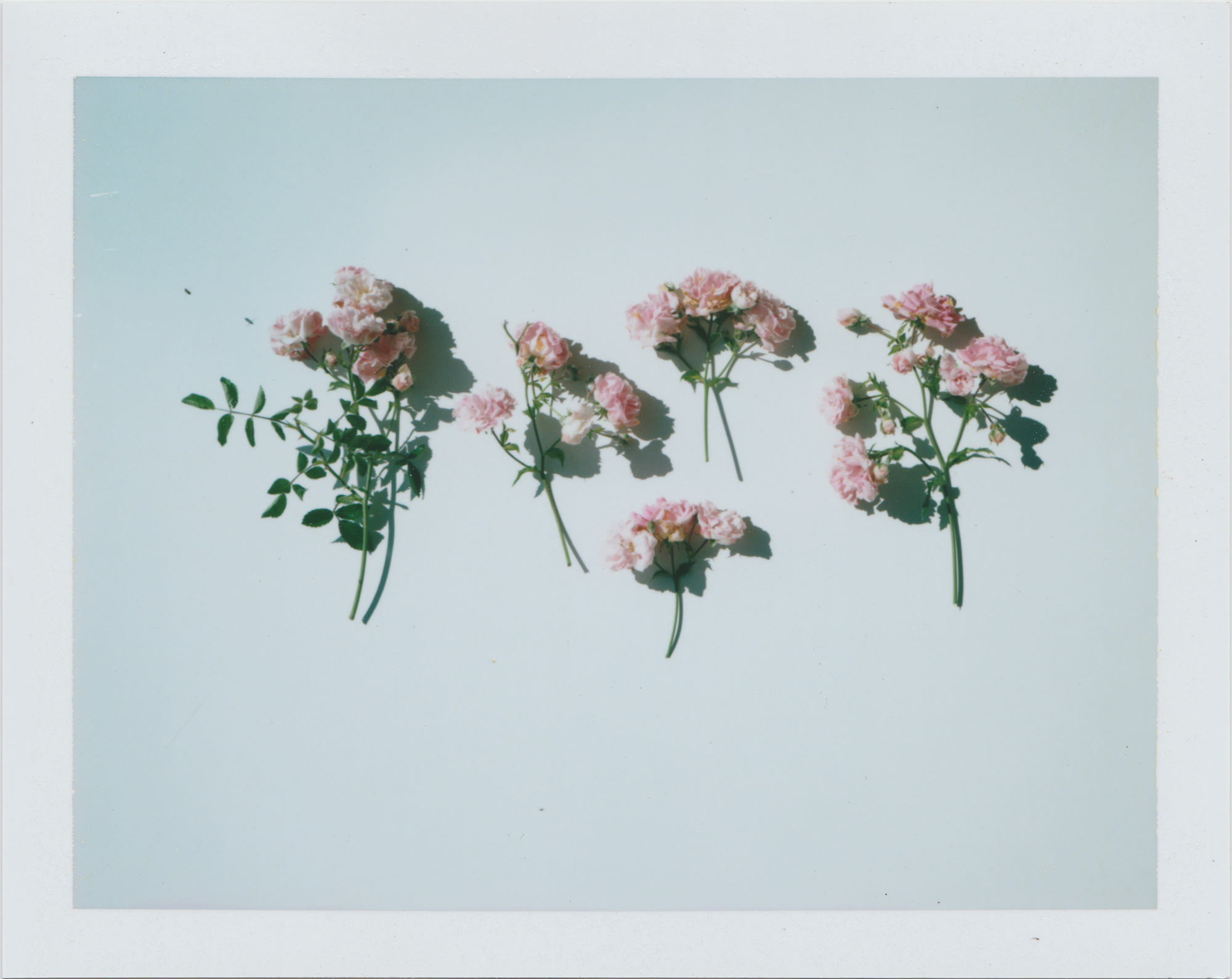 06_26_2019_00