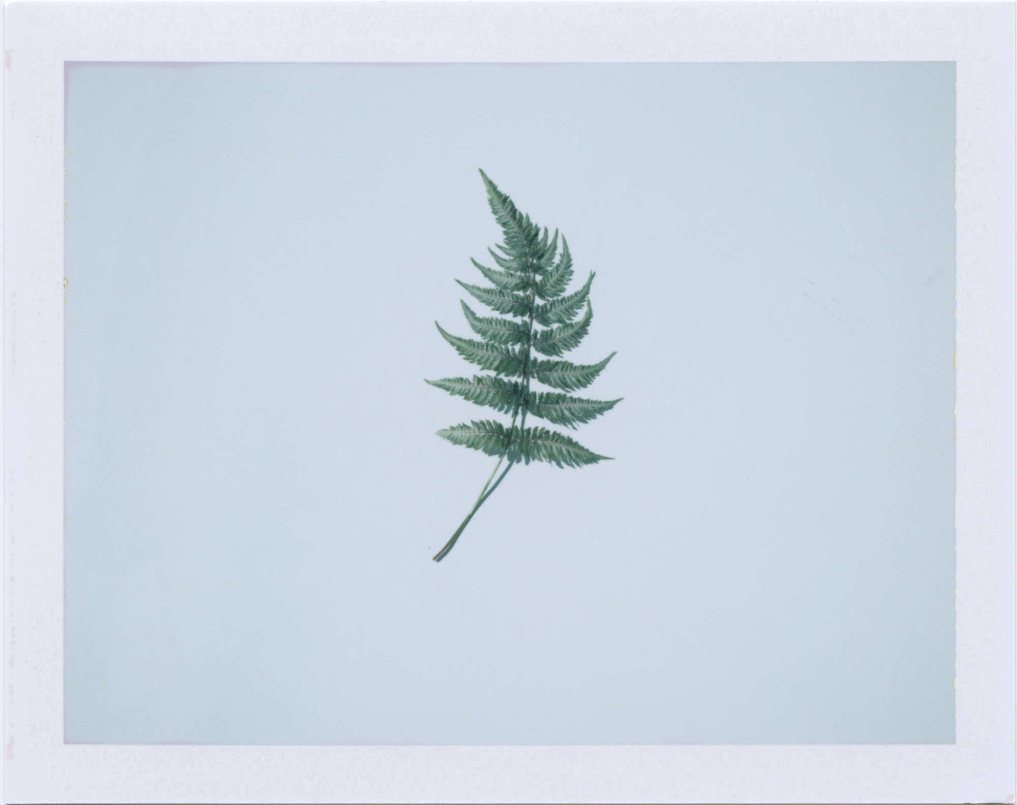 07_01_2019_05