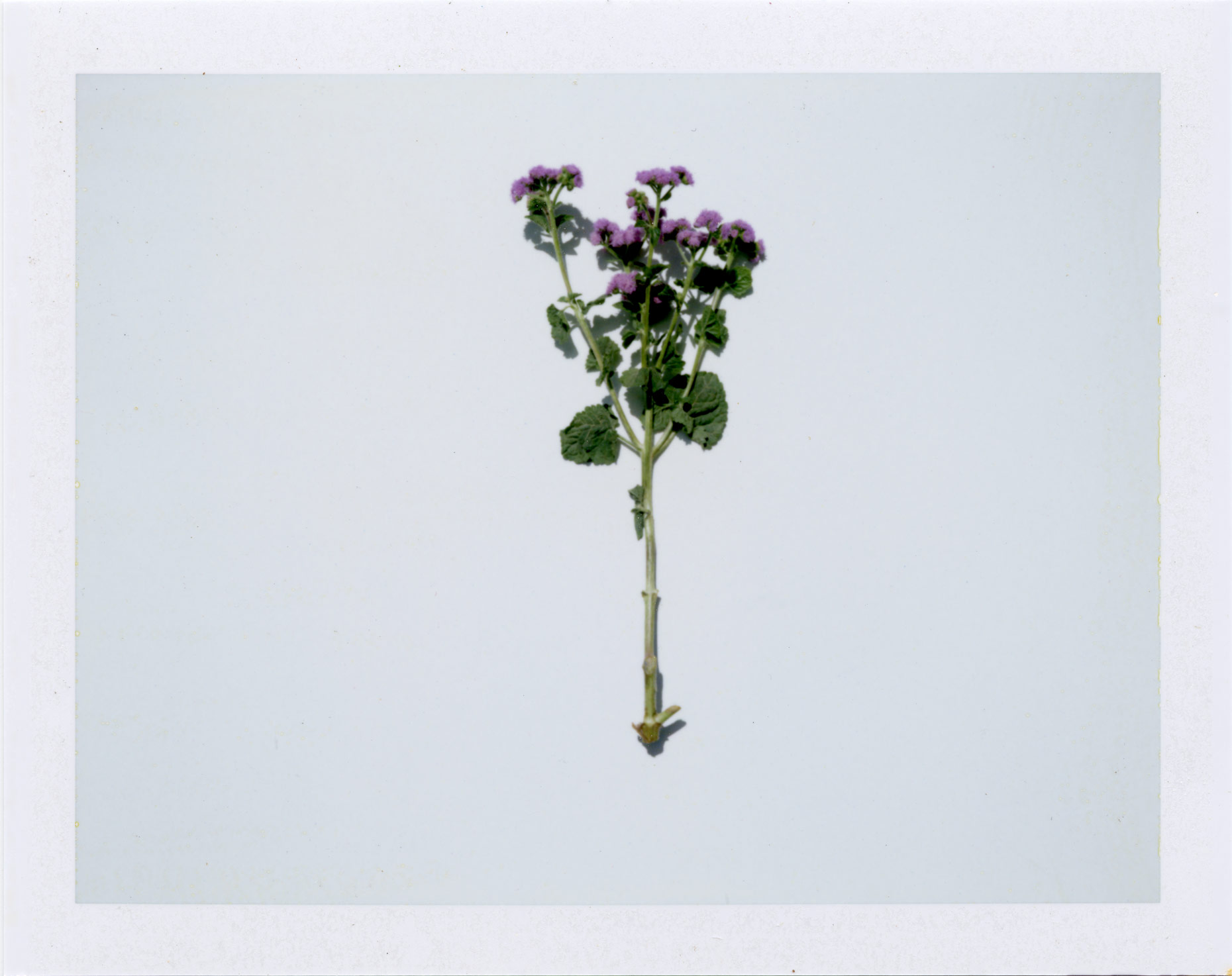 07_20_2018_02
