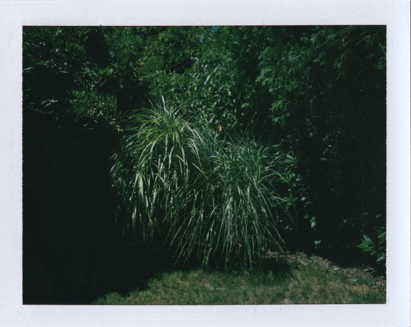 08_02_2015_01