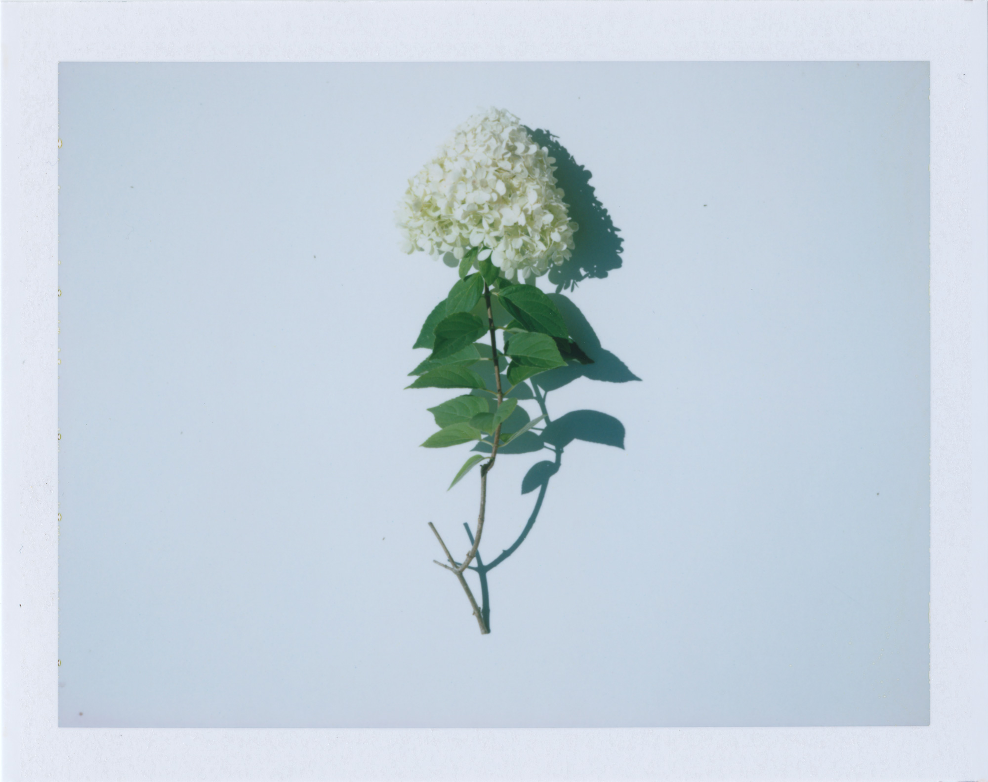 08_10_2019_00