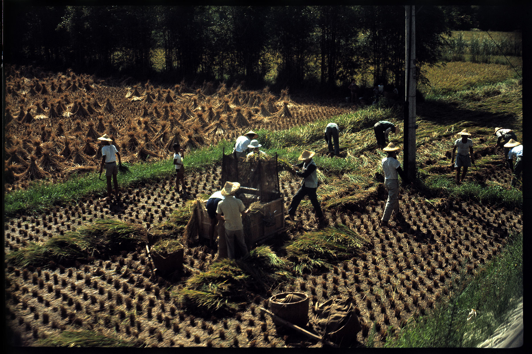 101-men-working-in-field