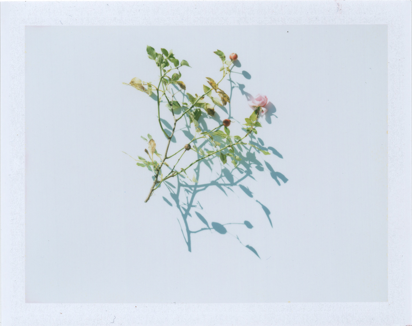 11_03_2015_01