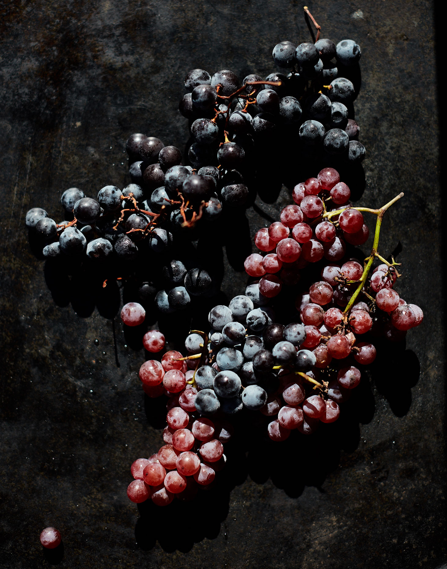 20161019_EyeSwoon_S120_FALL_Grapes_0066