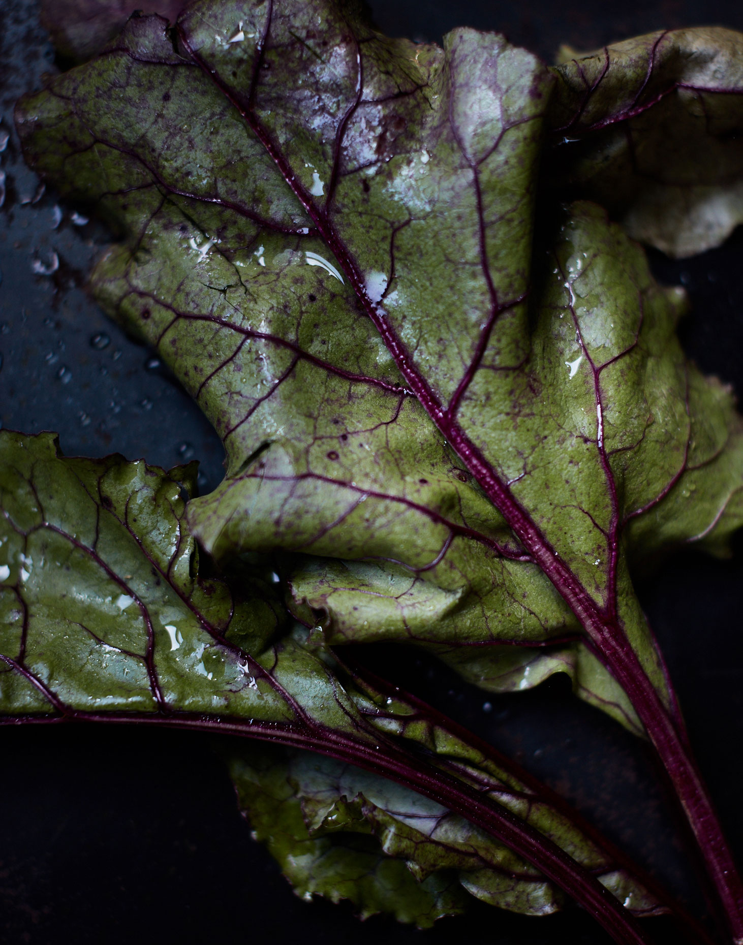 20161019_EyeSwoon_S125_WINTER_Beets_0205