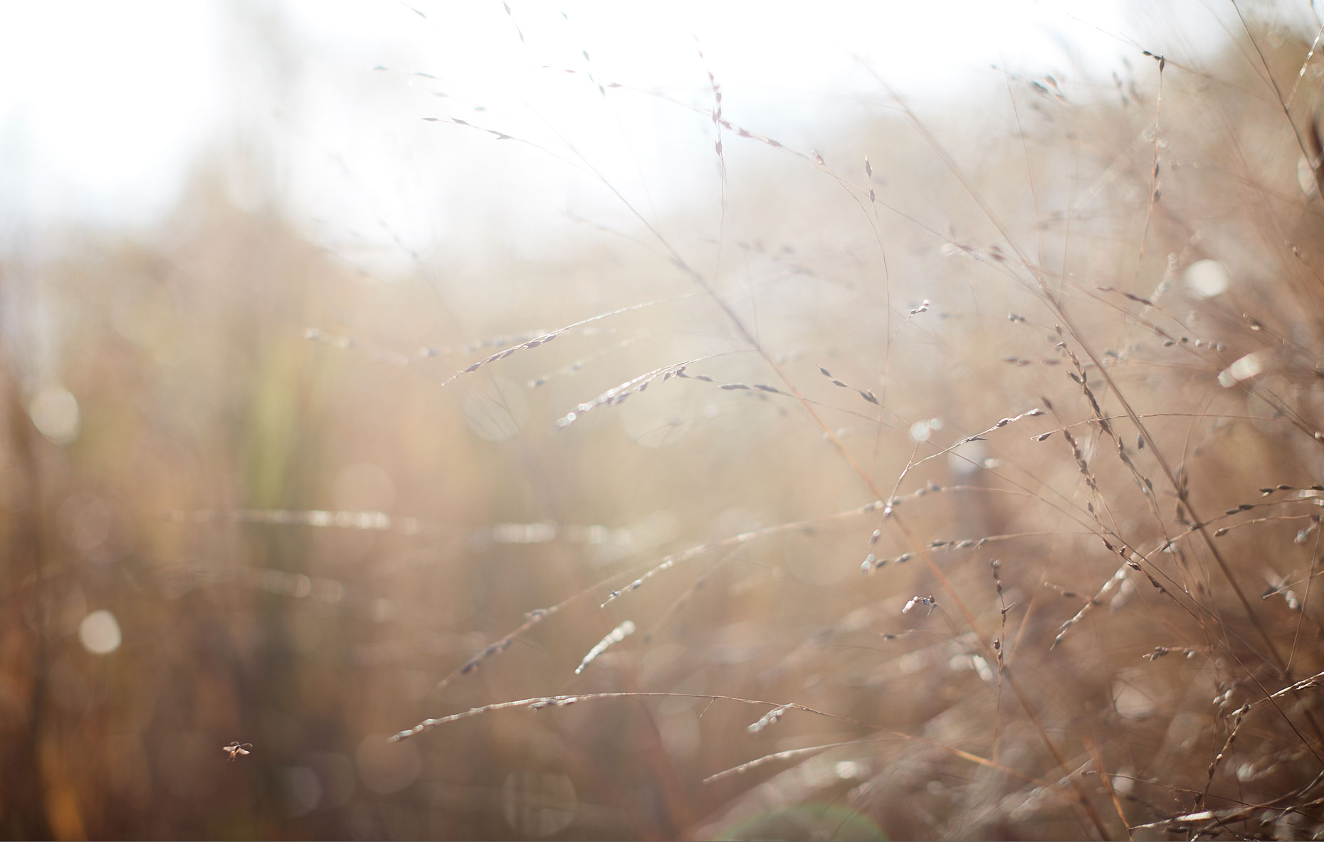 20161019_EyeSwoon_S126_FALL_ChapterOpener_0256