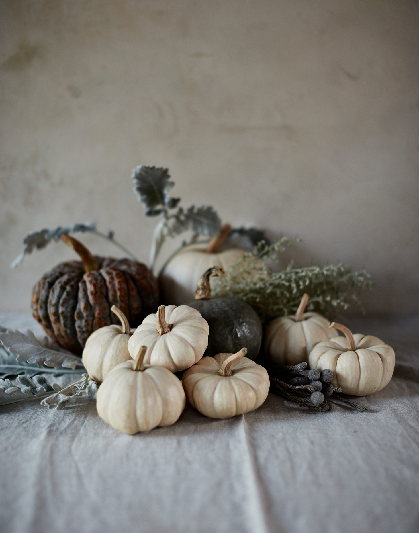 20161019_EyeSwoon_S130_FALL_MiniPumpkinCluster_0415
