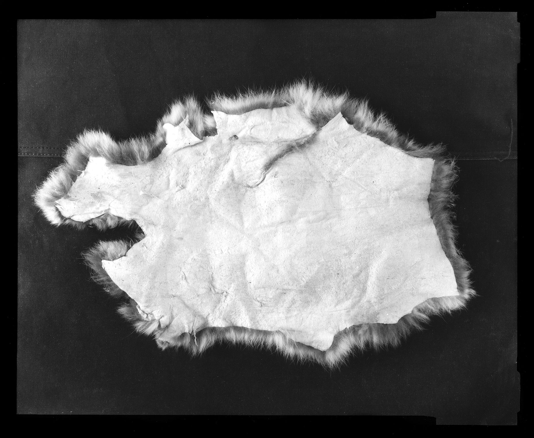 fur034